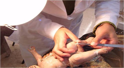 Gemälderestaurierung Bremen Anahi Cura Fernandez Reinigen Firnis Rahmen Skulptur Restaurieren Restaurator